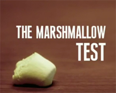 The Marshmallow Experiment